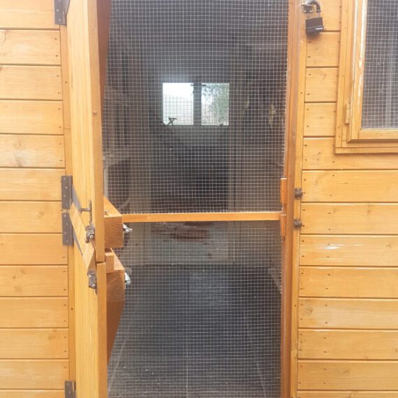 View from open external wood door, to the safety mesh door.
